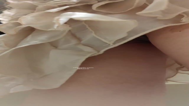 chn25122812 china  (4)